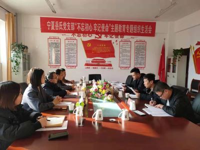 寧夏岳氏黨支部召開“不忘初心，牢記使命”主題教育專題組織生活會